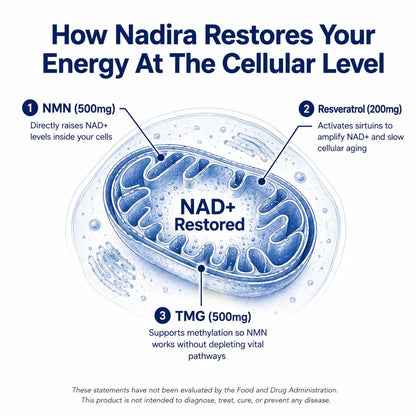 Nadira NAD+ Complex